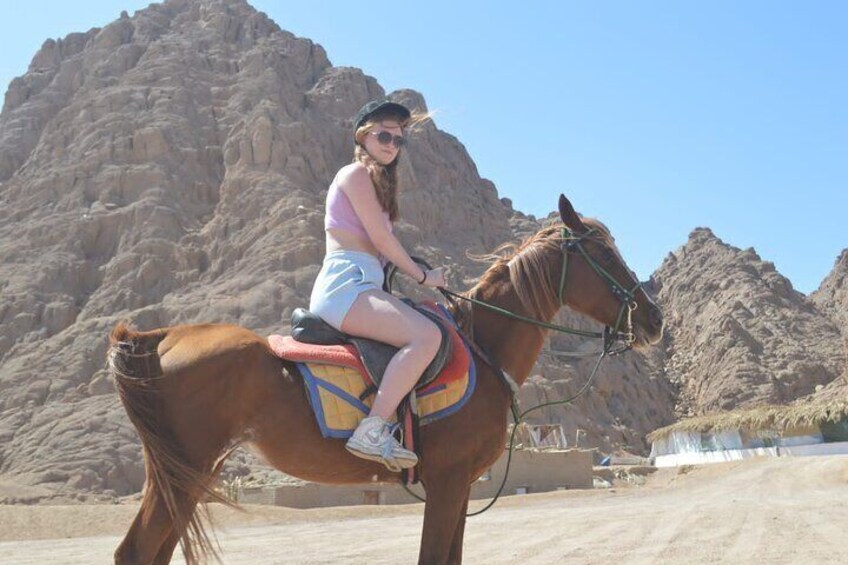Horseback Riding Tour Desert & Beach at Nabq bay - Sharm ElSheikh
