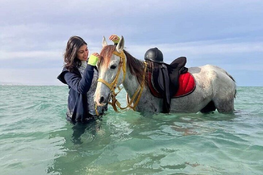 Horseback Riding Tour Desert & Beach at Nabq bay - Sharm ElSheikh