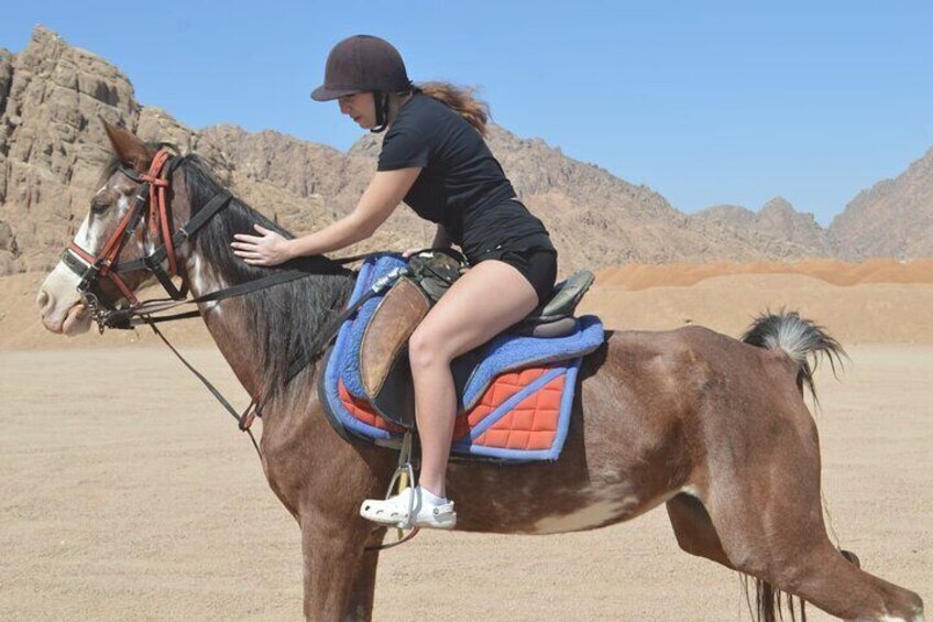 Horseback Riding Tour Desert & Beach at Nabq bay - Sharm ElSheikh