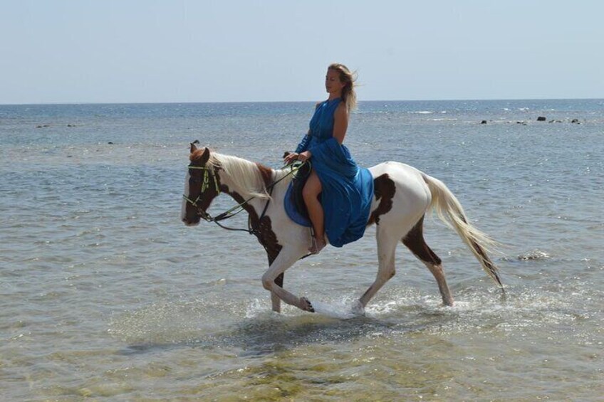 Horseback Riding Tour Desert & Beach at Nabq bay - Sharm ElSheikh