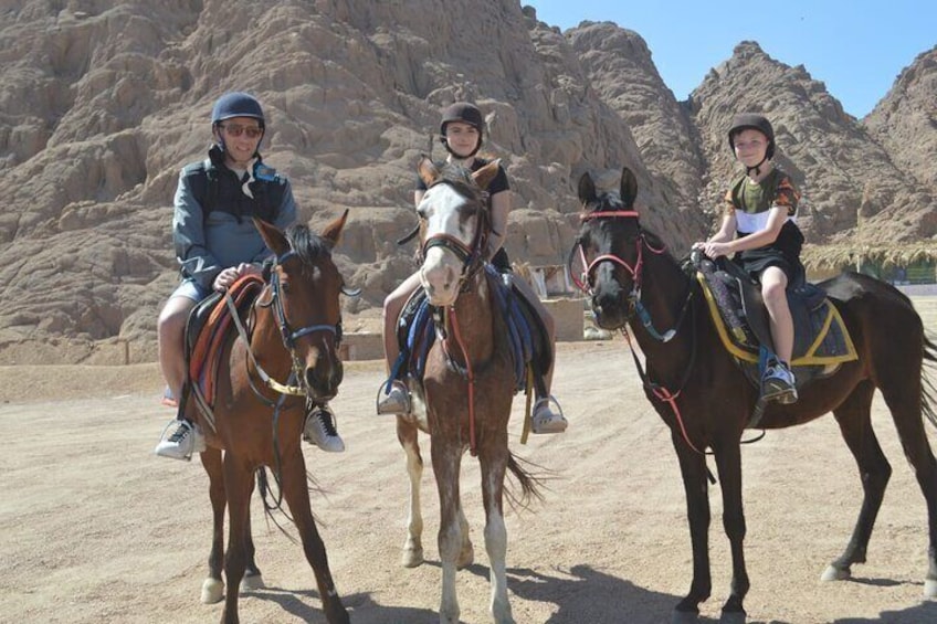 Horseback Riding Tour Desert & Beach at Nabq bay - Sharm ElSheikh