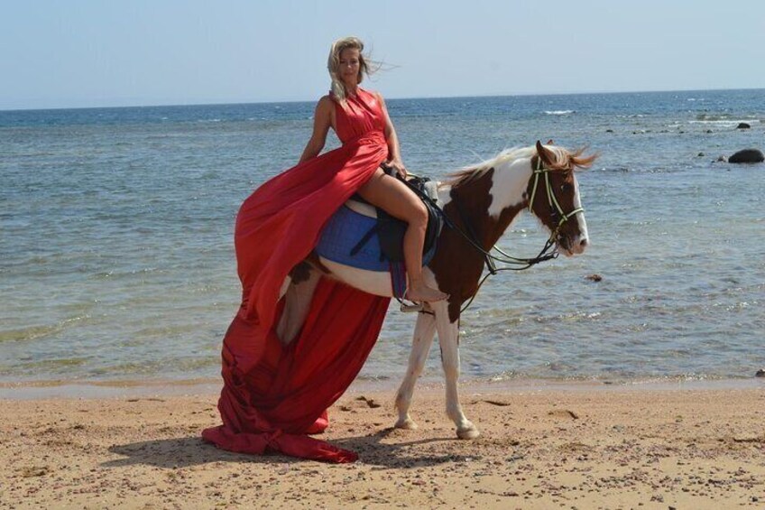 Horseback Riding Tour Desert & Beach at Nabq bay - Sharm ElSheikh