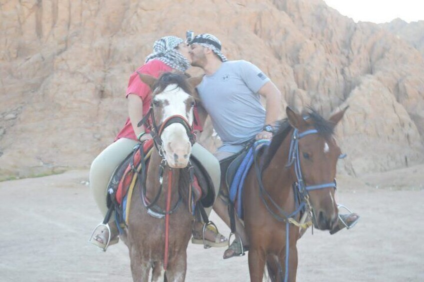 Horseback Riding Tour Desert & Beach at Nabq bay - Sharm ElSheikh