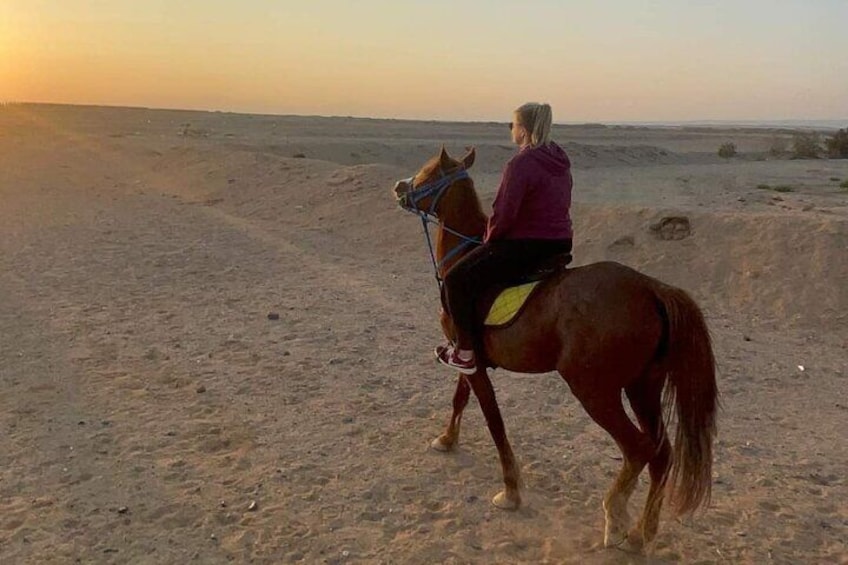 Horseback Riding Tour Desert & Beach at Nabq bay - Sharm ElSheikh