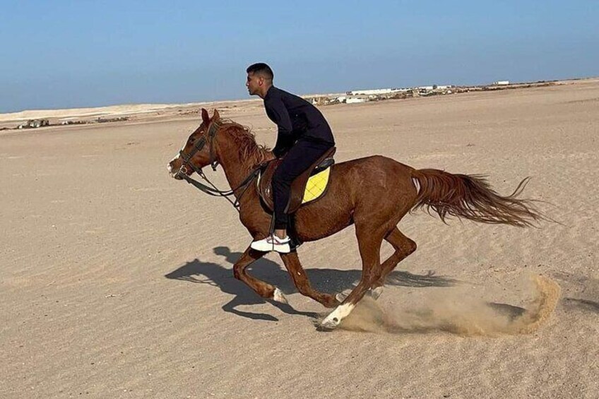 Horseback Riding Tour Desert & Beach at Nabq bay - Sharm ElSheikh