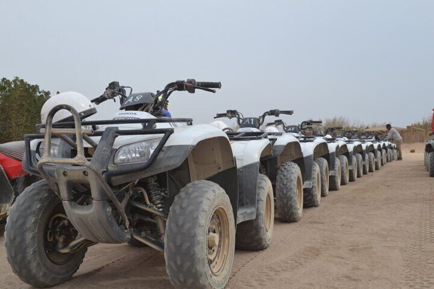Super Safari ATV, Drive Buggy Car, Camel Ride, Bedouin Dinner, Show-Hurghada