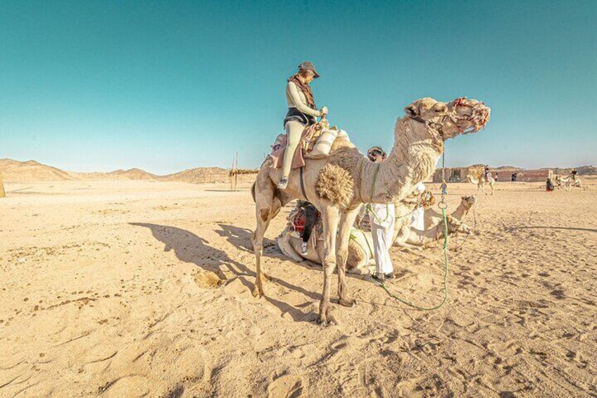 Super Safari ATV, Drive Buggy Car, Camel Ride, Bedouin Dinner, Show-Hurghada