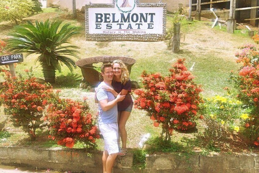 belmont estate tour