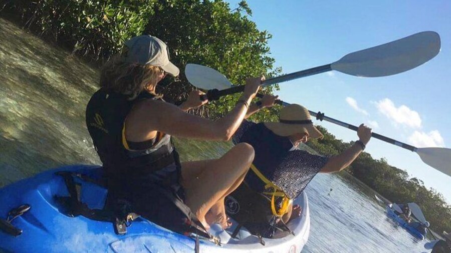 Mangroves Kayak Tour