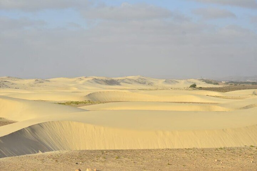 Boa Vista Island: Full-day Tour