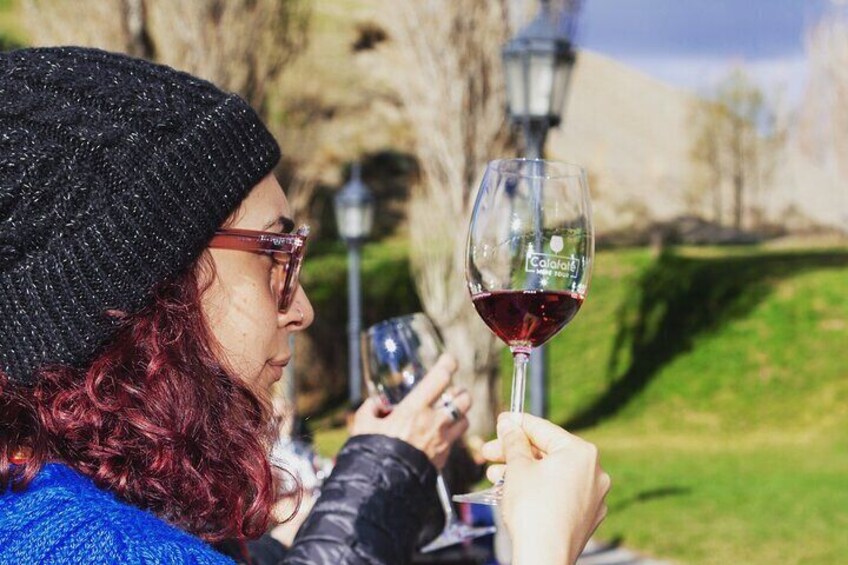 Calafate Wine Tour | City Tour Peatonal Maridado con Vinos