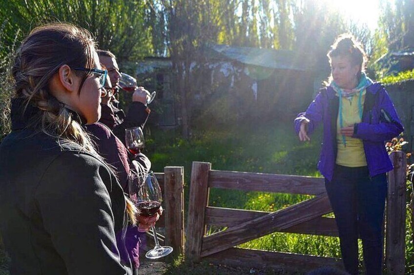 Calafate Wine Tour | City Tour Peatonal Maridado con Vinos