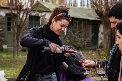 Calafate Wine Tours | Pedestrian City Tour Paired with Wines