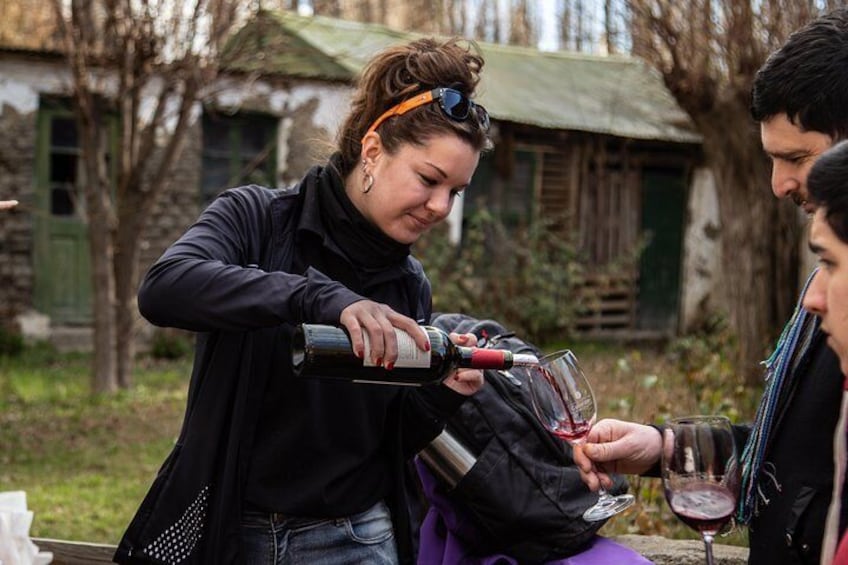 Calafate Wine Tours | Pedestrian City Tour Paired with Wines