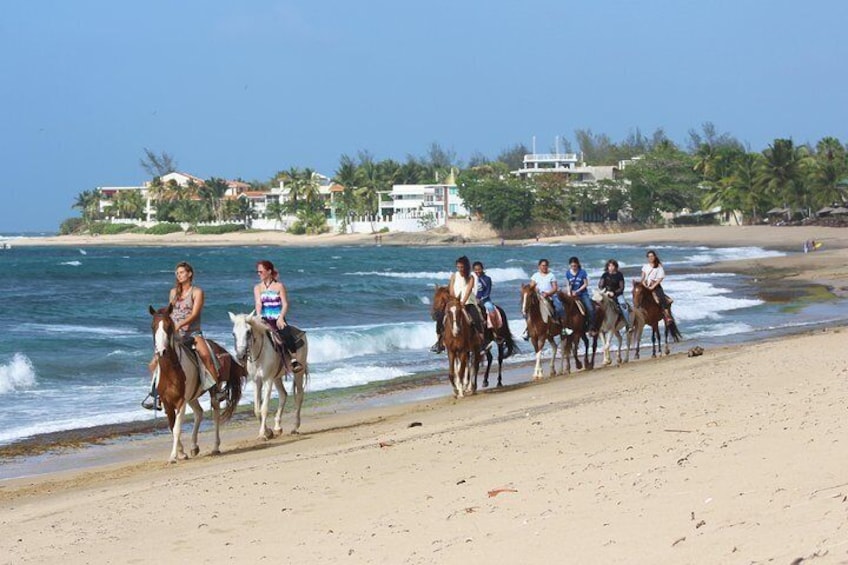 Shacks Beach