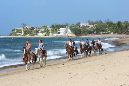 プエルトリコの乗馬トロピカル トレイル ライド: ビーチと森林