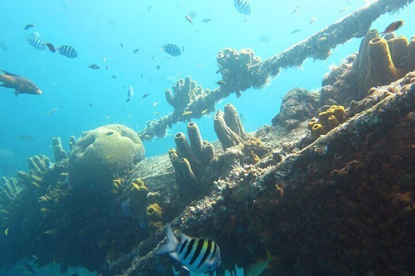 Antillia Shipwreck