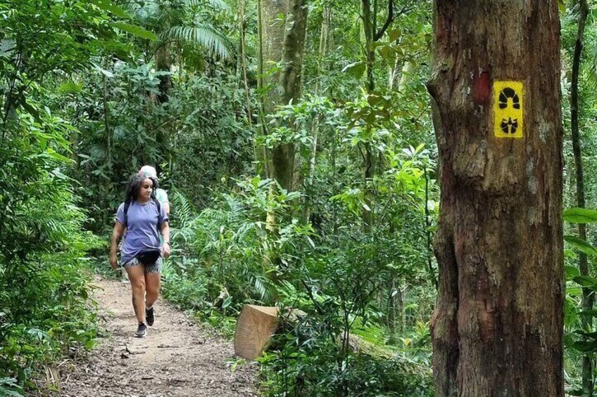 Hiking down the trail