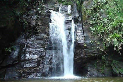 Aventure aux cascades d’Horto dans la parc national de Tijuca