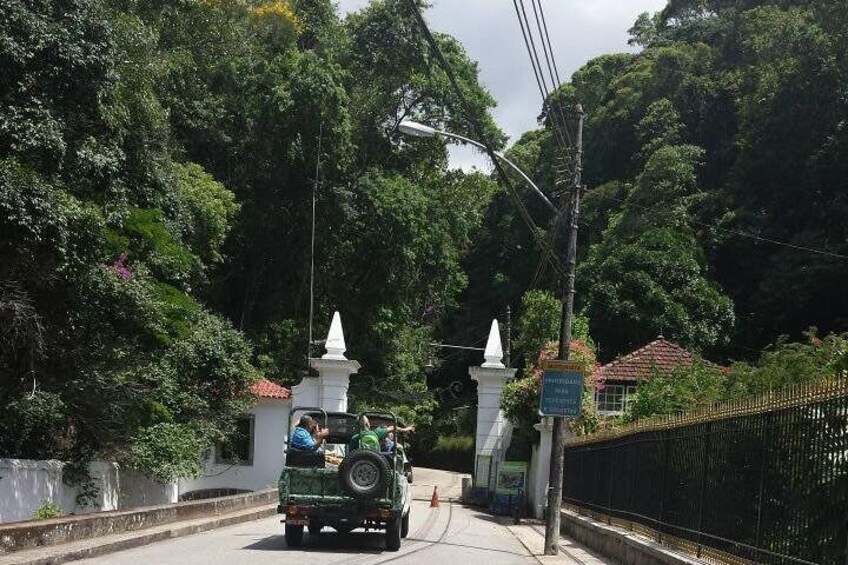 Tijuca Forest Jeep Tour