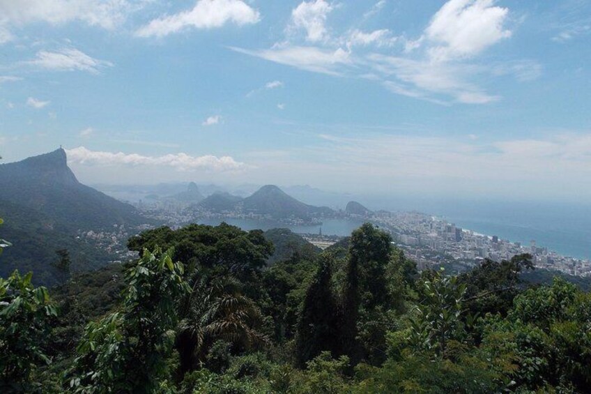 View from Tijuca Forest