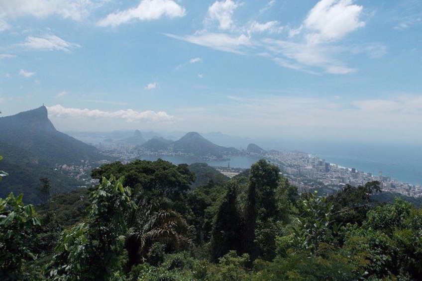 View from Tijuca Forest