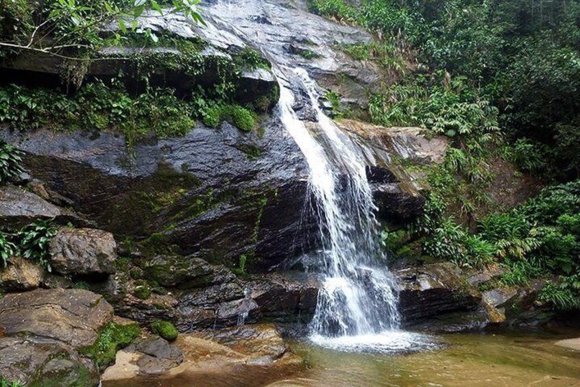 Tijuca Forest Tour with Waterfall