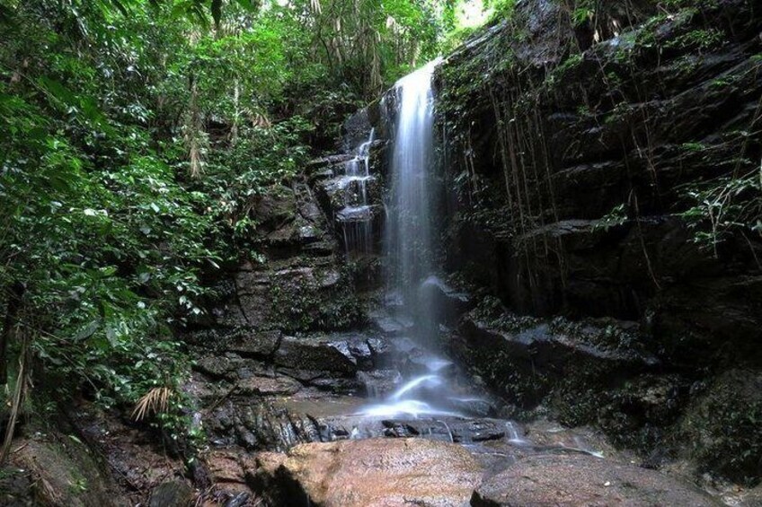 Tijuca Forest Tour with Waterfall