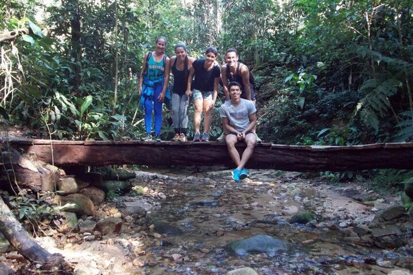 Tijuca Forest Tour with Waterfall