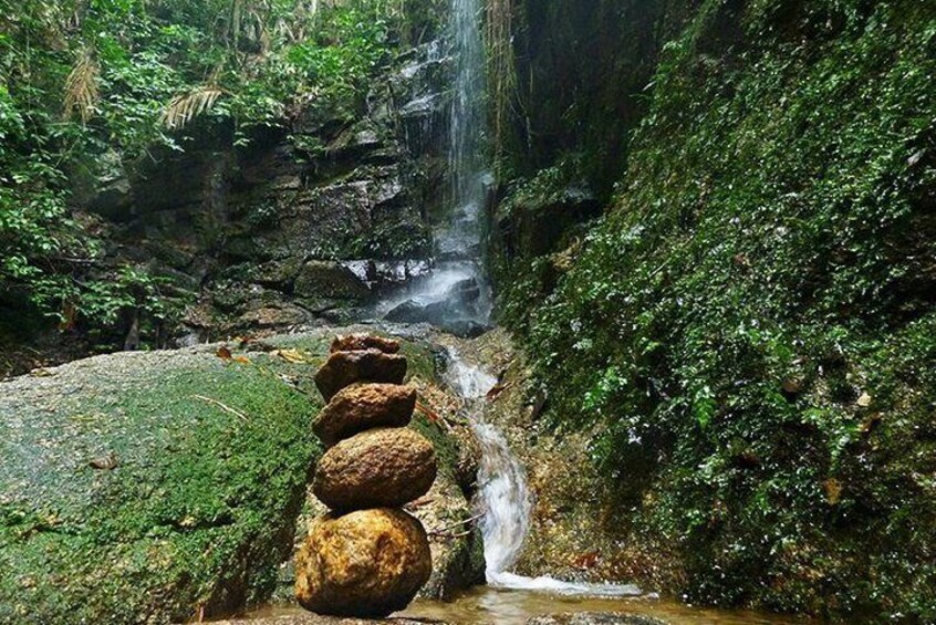 Tijuca Forest Tour with Waterfall