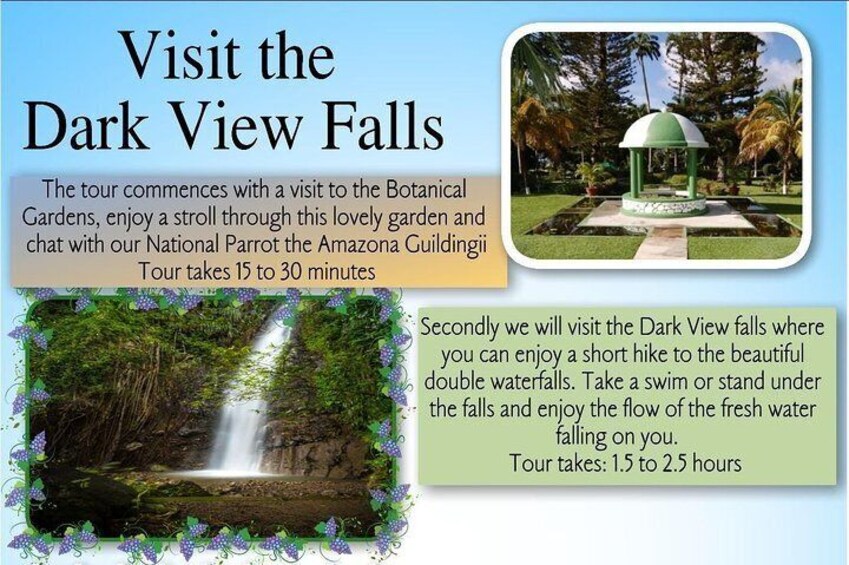 Dark View Falls Flyer