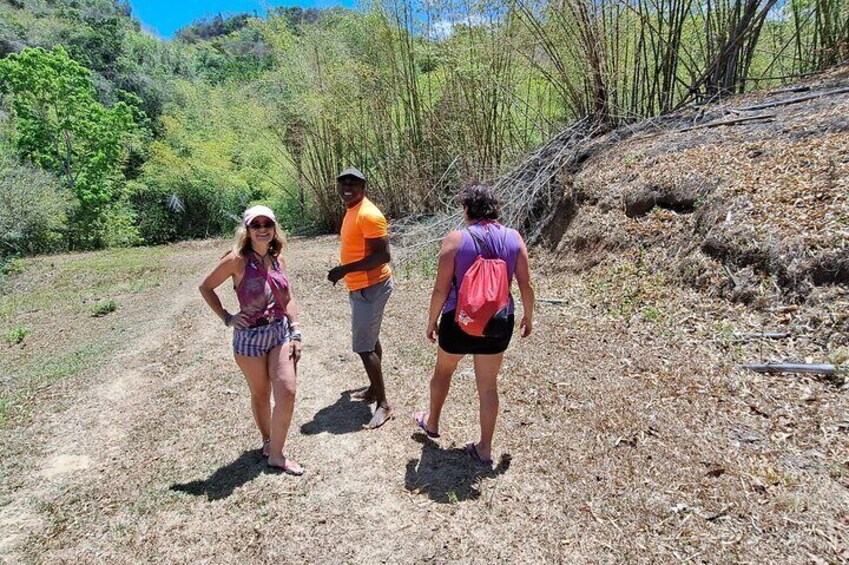 2 Hours Trekking Waterfall Tour in Tobago