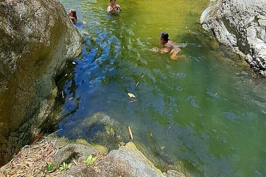 2 Hours Trekking Waterfall Tour in Tobago