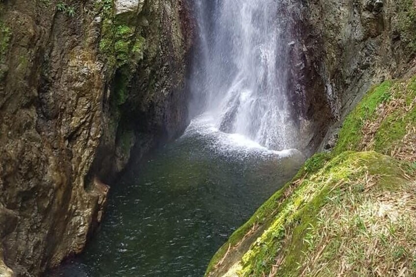 2 Hours Trekking Waterfall Tour in Tobago