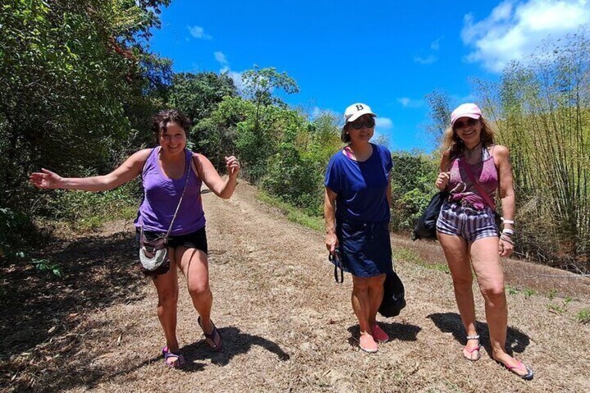 2 Hours Trekking Waterfall Tour in Tobago