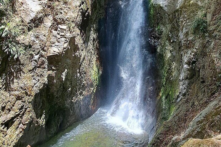 2 Hours Trekking Waterfall Tour in Tobago