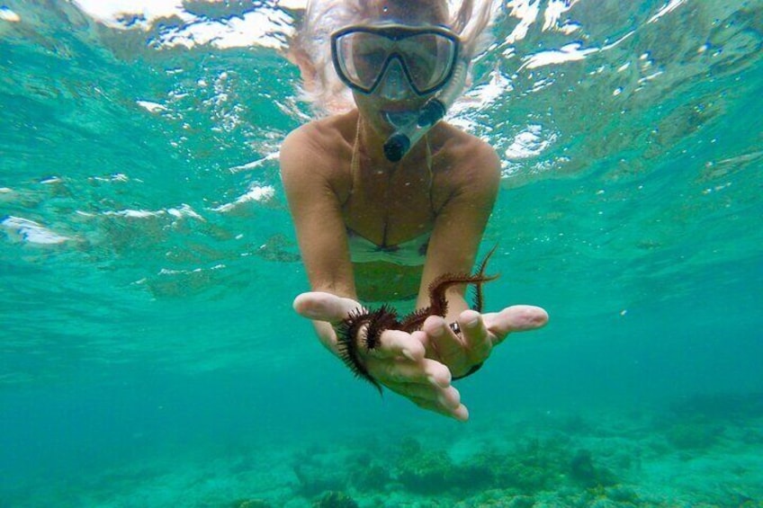 Glass Bottom Nylon Pool Tour in Buccoo Reef