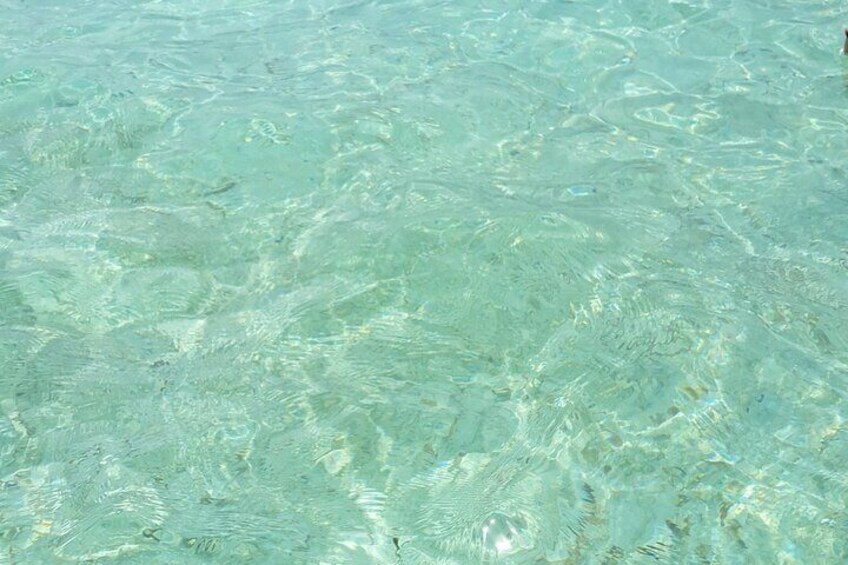 Glass Bottom Nylon Pool Tour in Buccoo Reef