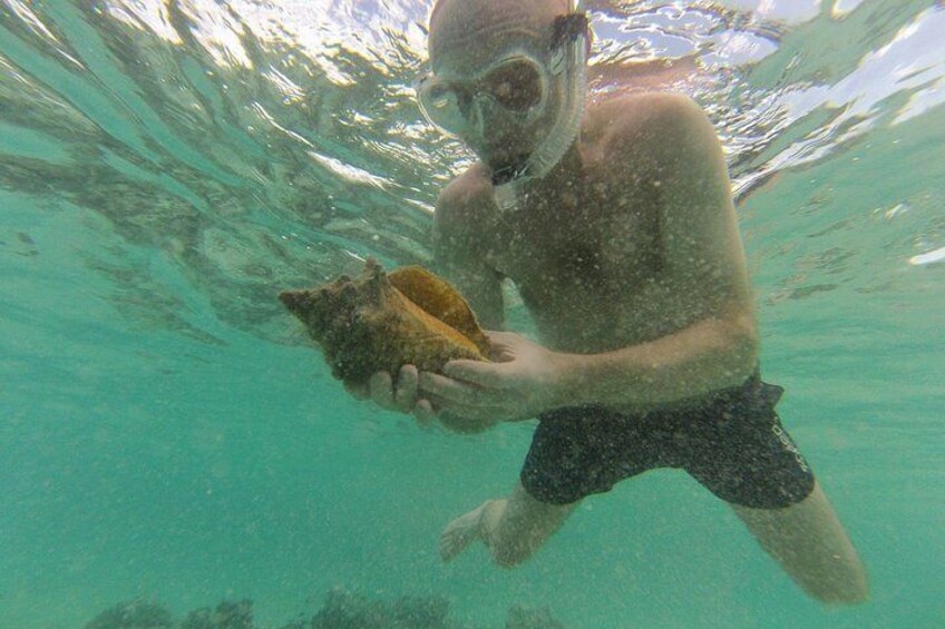 Snorkeling Tour (with Light Refreshments)