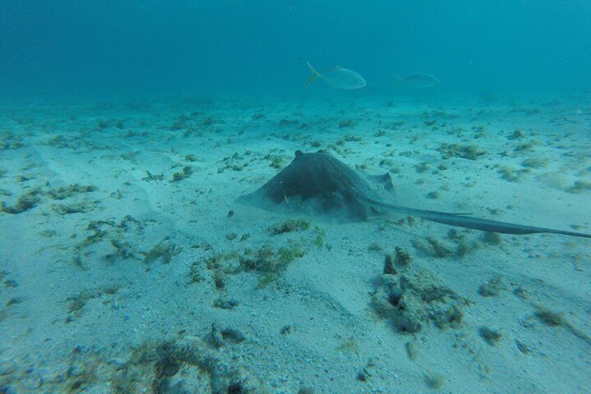 Snorkeling Tour (with Light Refreshments)