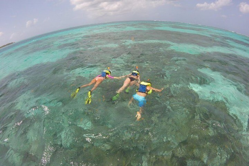 Coastline Snorkel and BBQ