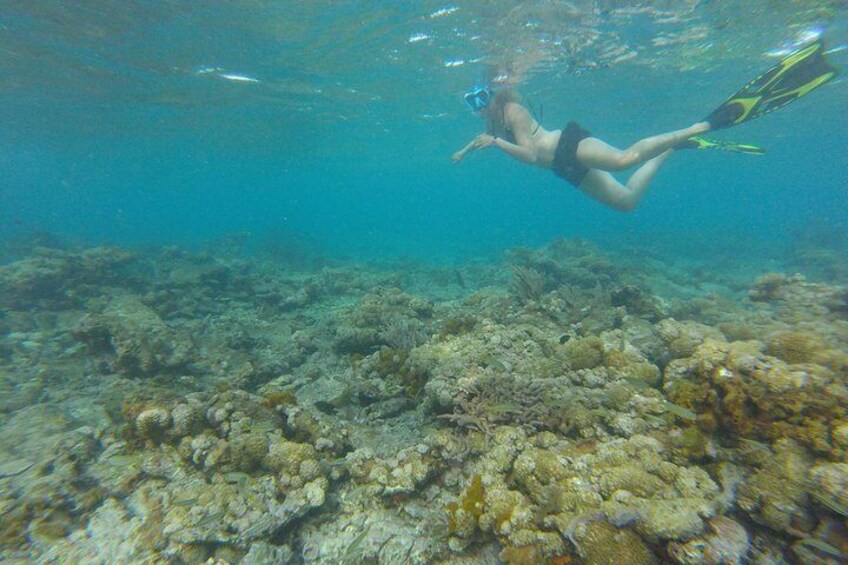 Coastline Snorkel and BBQ