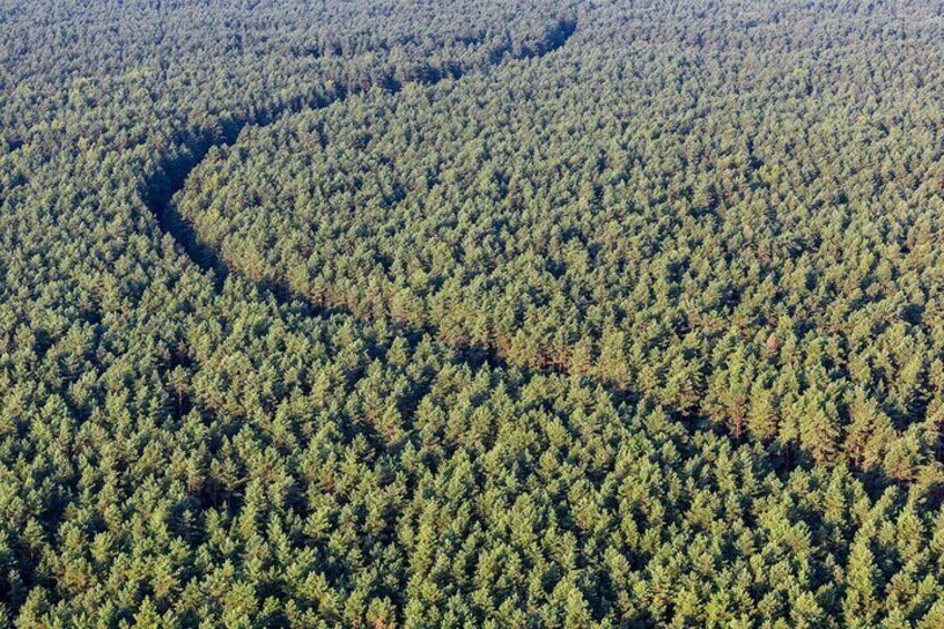 Trakai is surrounded by the vast forests, sometimes during a flight passengers get a chance to pick a pine cone from the very top of the tree