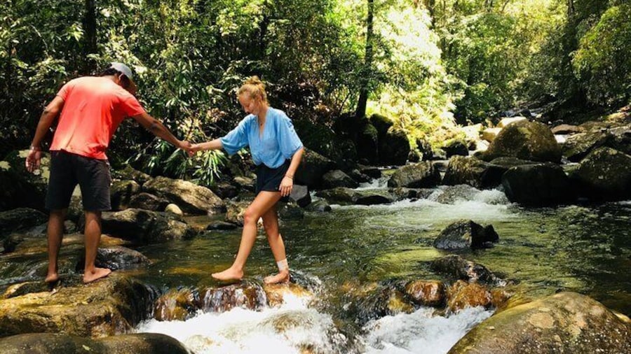 Explore Singharaja Forest Reserve