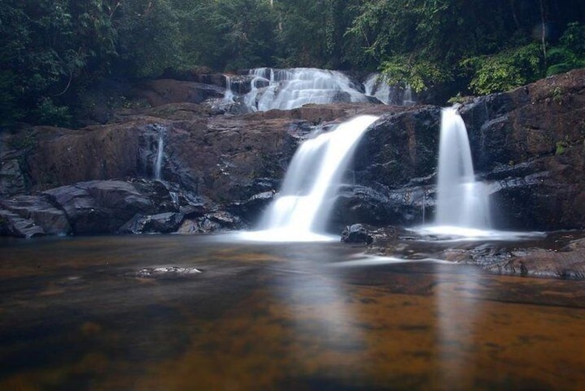 Explore Singharaja Forest Reserve (mirissa/weligama & Galle)