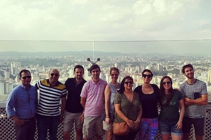 Tour privado: Tour por la ciudad de São Paulo