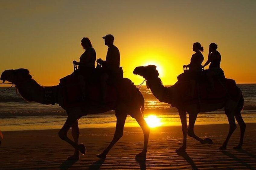 withlocale guide Agadir Sunset Camel Ride and barbecue B&B grill f(5pm at 9pm )
