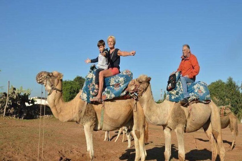Guided Agadir Sunset Camel Ride and Dinner