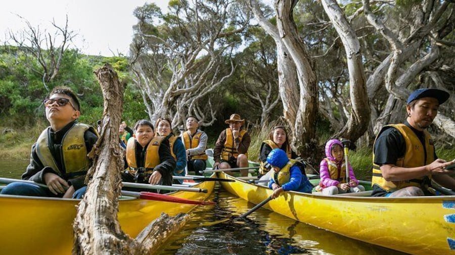Margaret River Canoe Tour Including Lunch