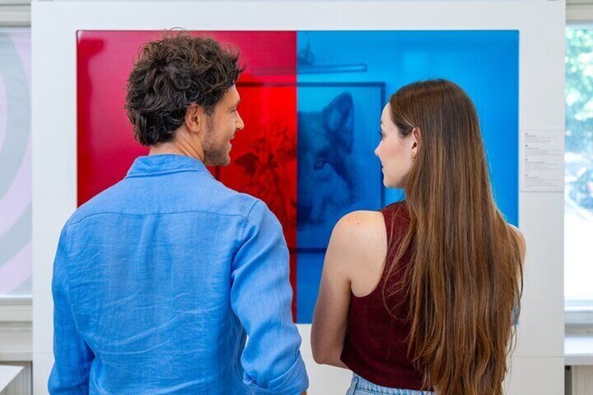 Museum of illusions Entry Ticket